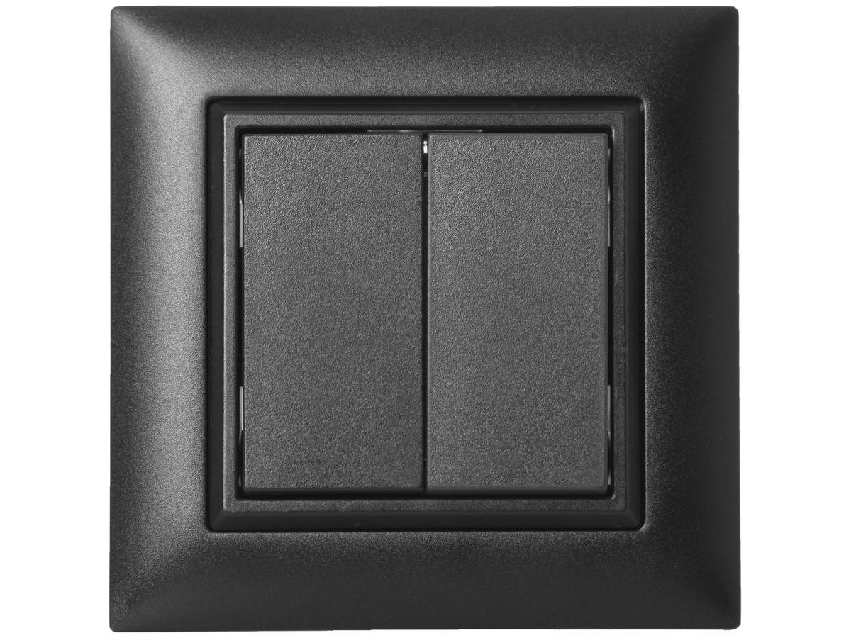 AP-RF-Taster ALADIN EnOcean EDIZIOdue, 2-fach, schwarz
