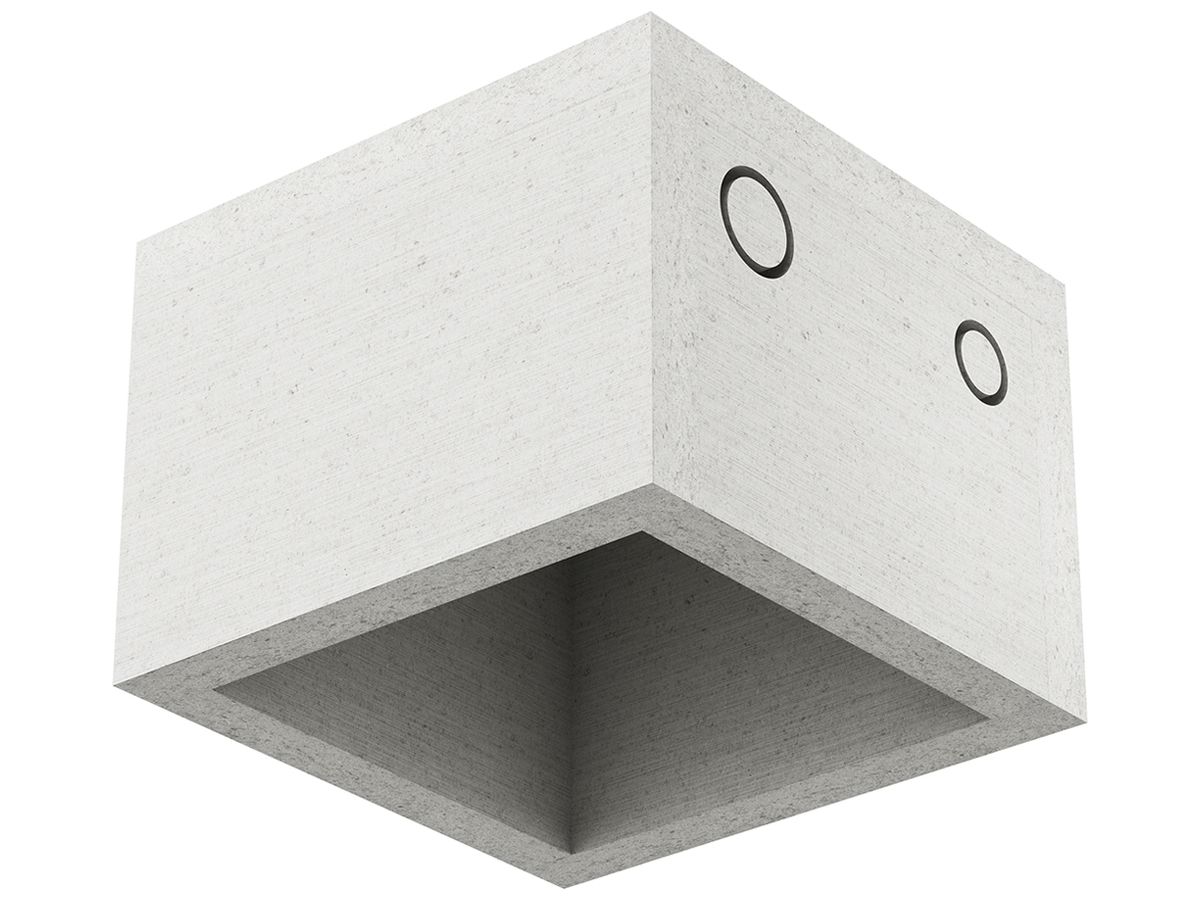 EB-Gehäuse AGRO ThermoX Lite 150×150×110mm