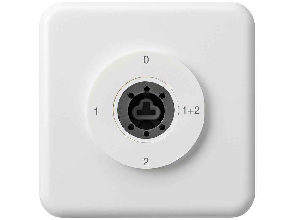 UP-Schlüsselschalter 1/1L basico weiss ohne Zylinder