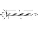 Senkkopf-Spanplattenschraube FERRONORM T20 4×30mm verzinkt ohne Schaft