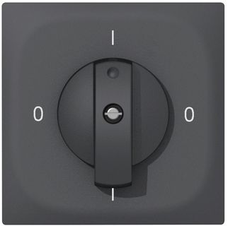 UP-Drehschalter SIDUS E 0/2L anthrazit
