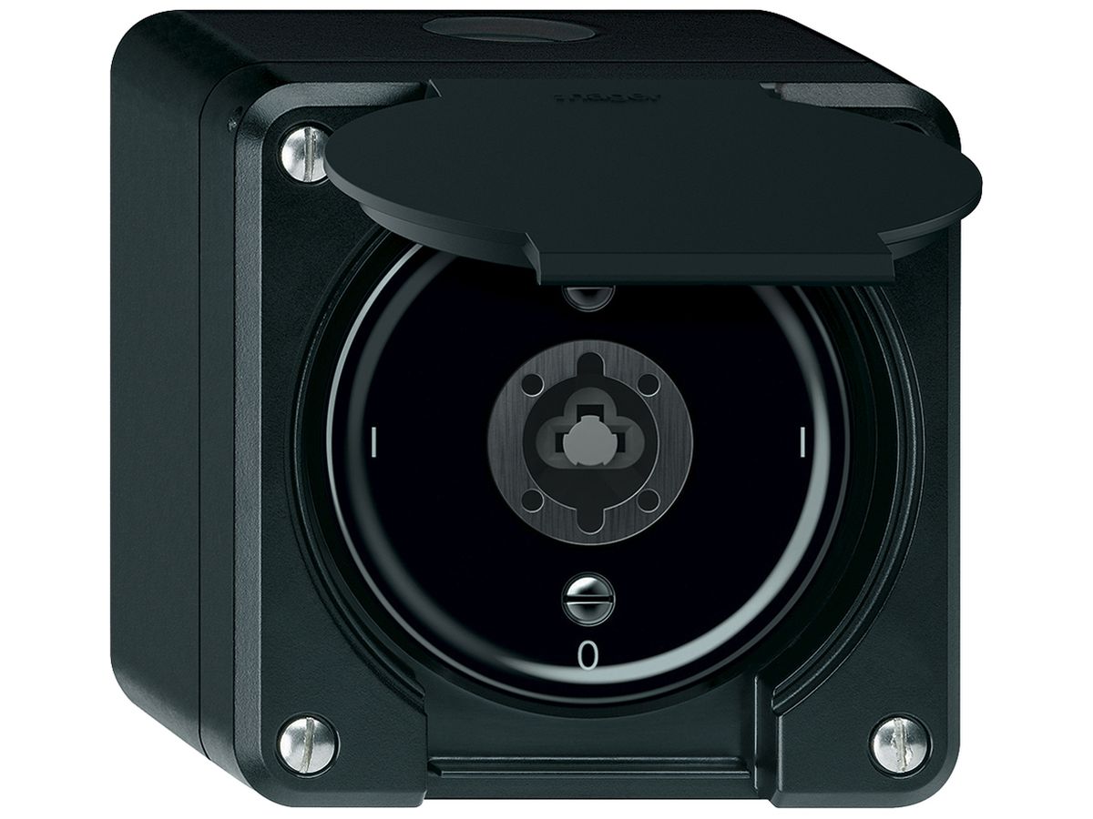 AP-Schlüsselschalter robusto Ausschalter 2×1-polig 16A 250V 86×86mm schwarz