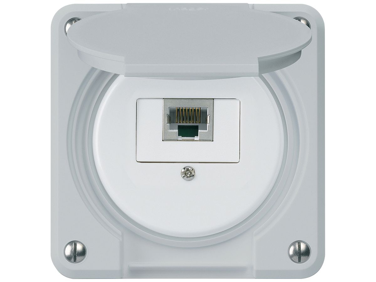 UP-Anschlussdose robusto IP55 grau 1×RJ45/s für Kombination