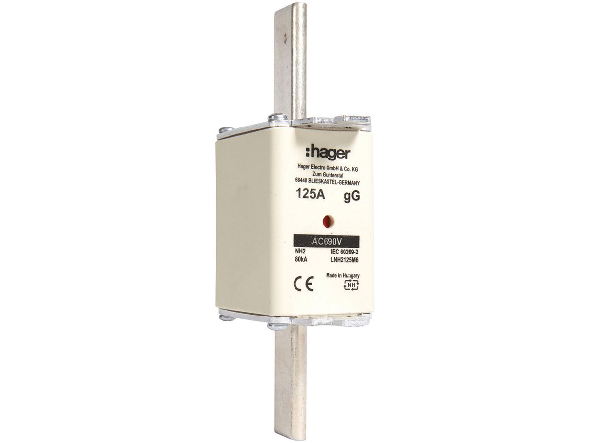 NH-Sicherung Hager DIN2c 690VAC 125A gG/gL Doppelkennmelder rostfrei