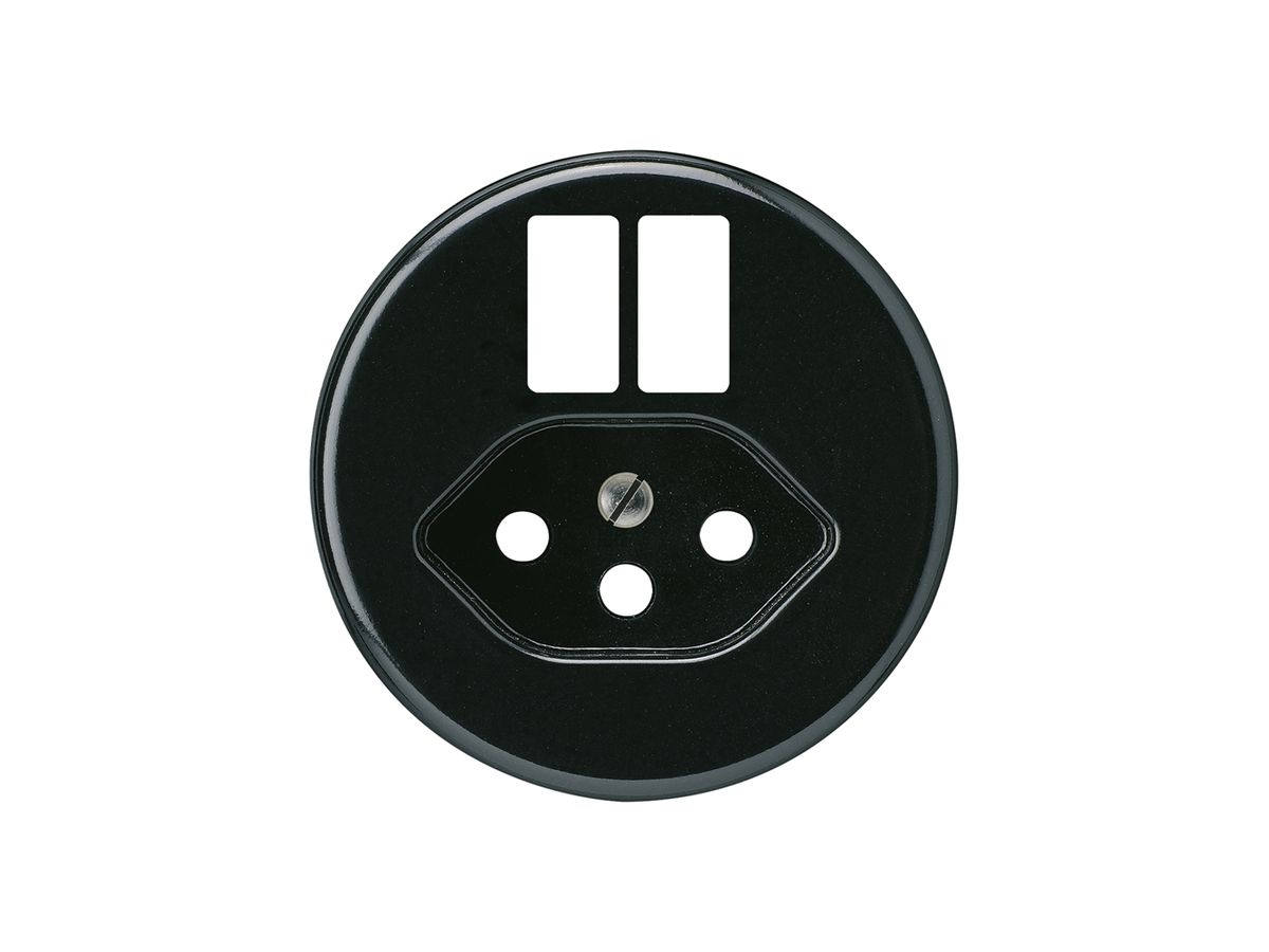 Frontscheibe basico H f.Steckdose 2×USB & Typ 13 schwarz