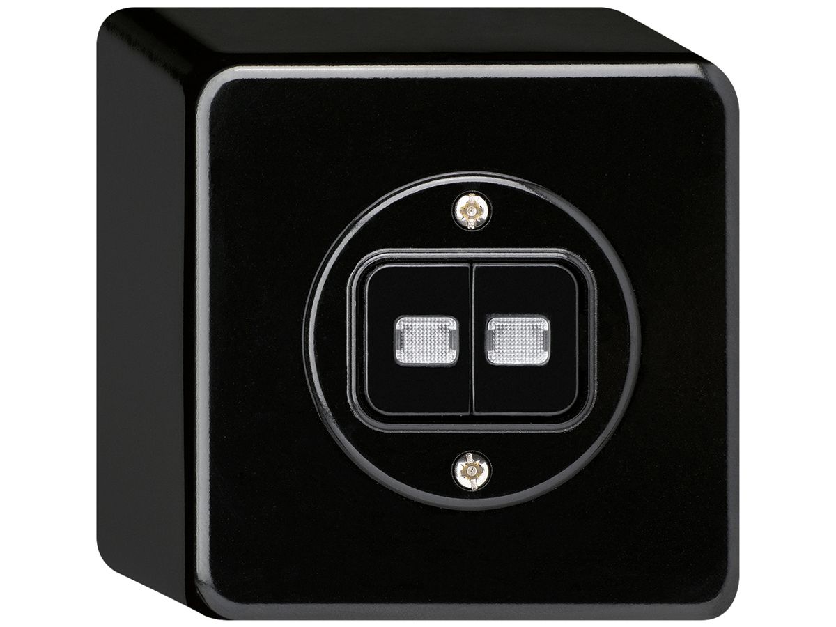 AP-Leuchtdrucktaster basico L-2×AR/1L schwarz