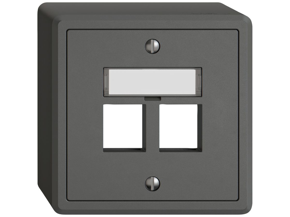 AP-Montageset EDIZIO.liv Keystone SNAPFIX® gerade 2× dgu