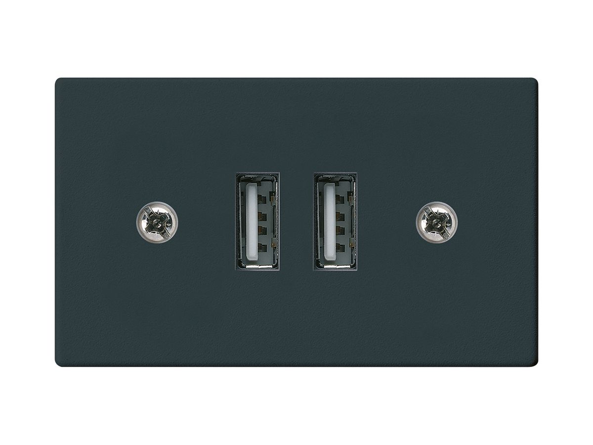 EB-Steckdose 2×USB HA FLF 2400mA schwarz