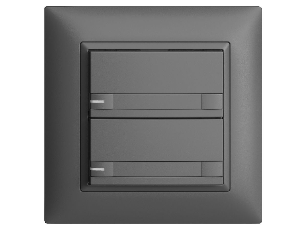 UP-KNX-Taster RGB EDUE FMI, 250mW, m.RGB-LED, m.Papier, 2×Taste, 2×Tastenb., dgu