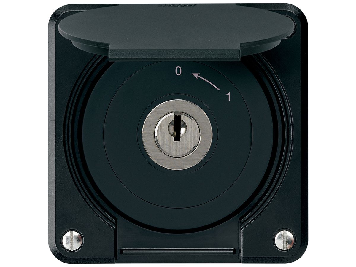 UP-Schlüsselschwenktaster robusto IP55 schwarz mit Deckel 1P