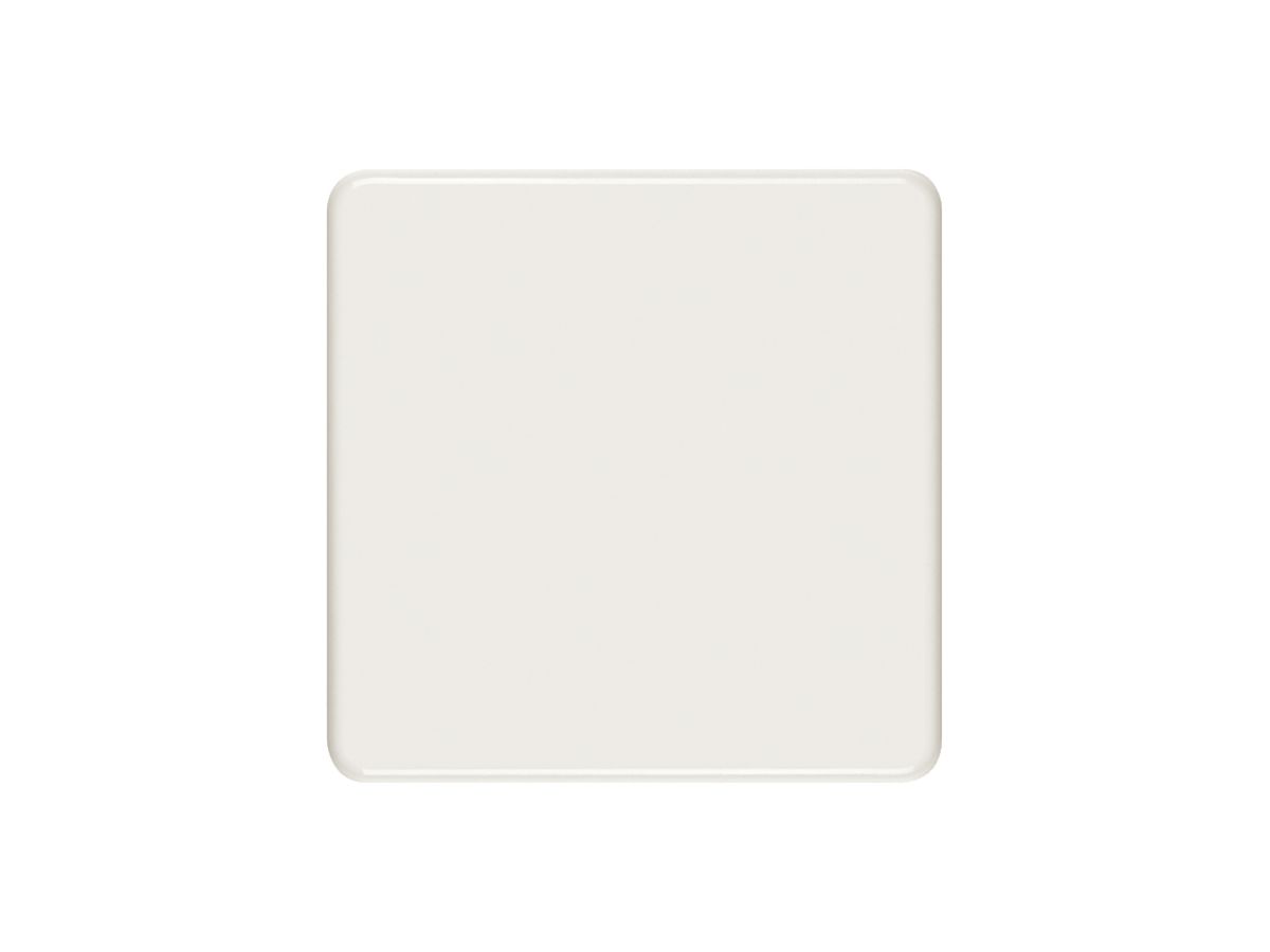 Abdeckplatte II blind weiss
