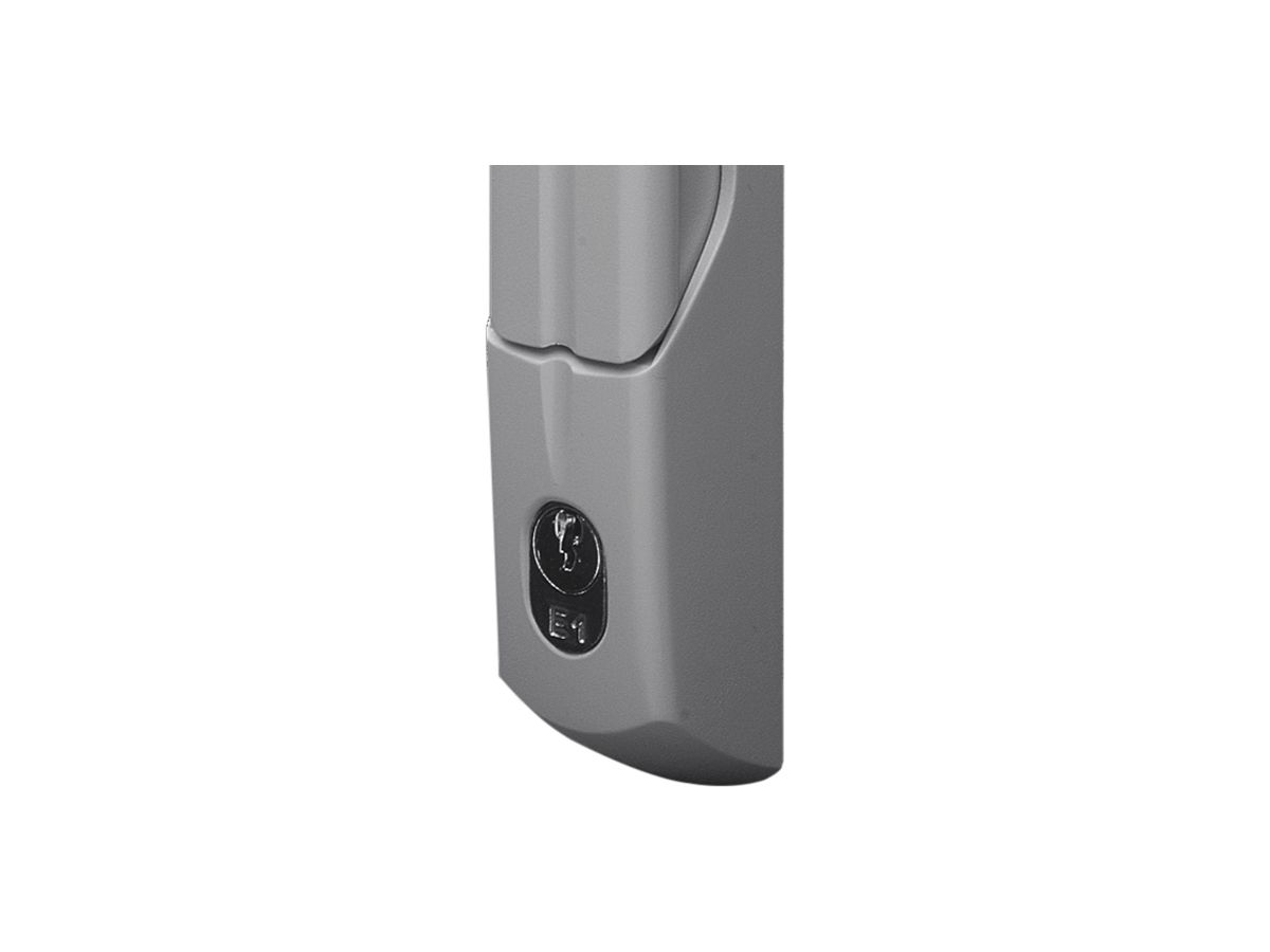 Griff Rittal TS 8611.045 comfort für TS/TS IT/SE/PC/IW mit Zylinder E1 grau