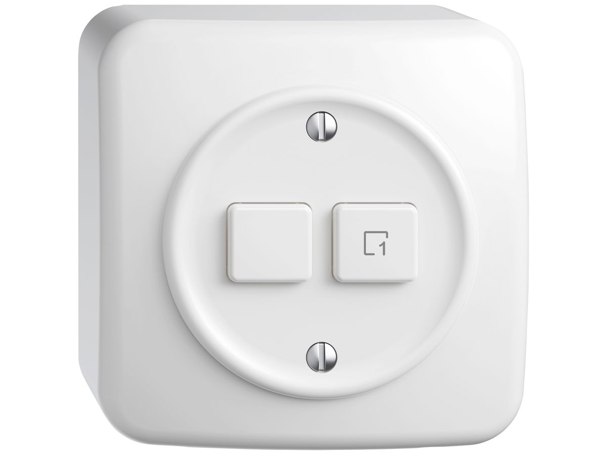 AP-Druckschalter STANDARDdue Wiser SNAPFIX® 1 Szene 2 Tasten WLAN ws