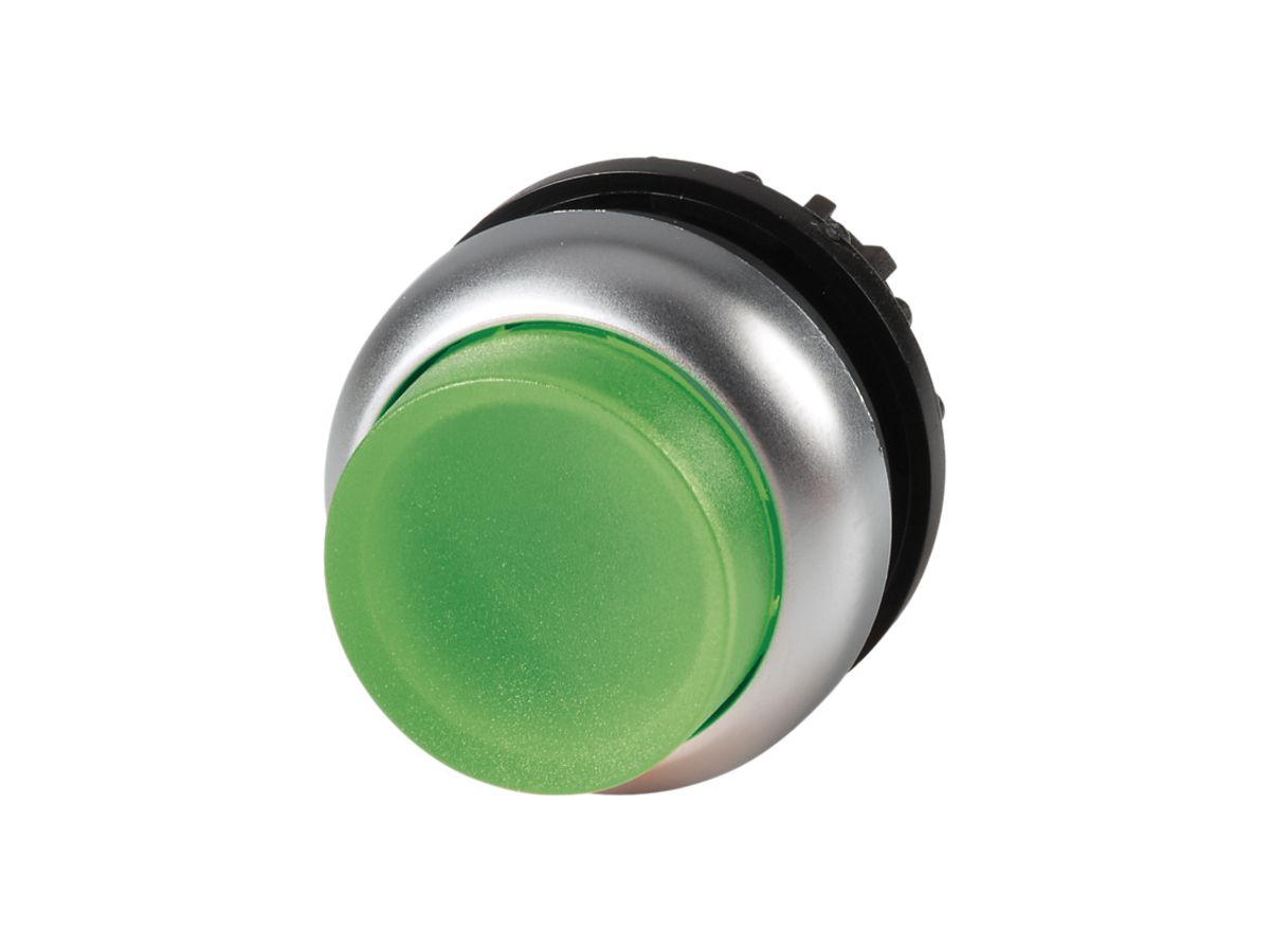 Leucht-Drucktaste ETN RMQ hoch grün, rastend, Ring verchromt