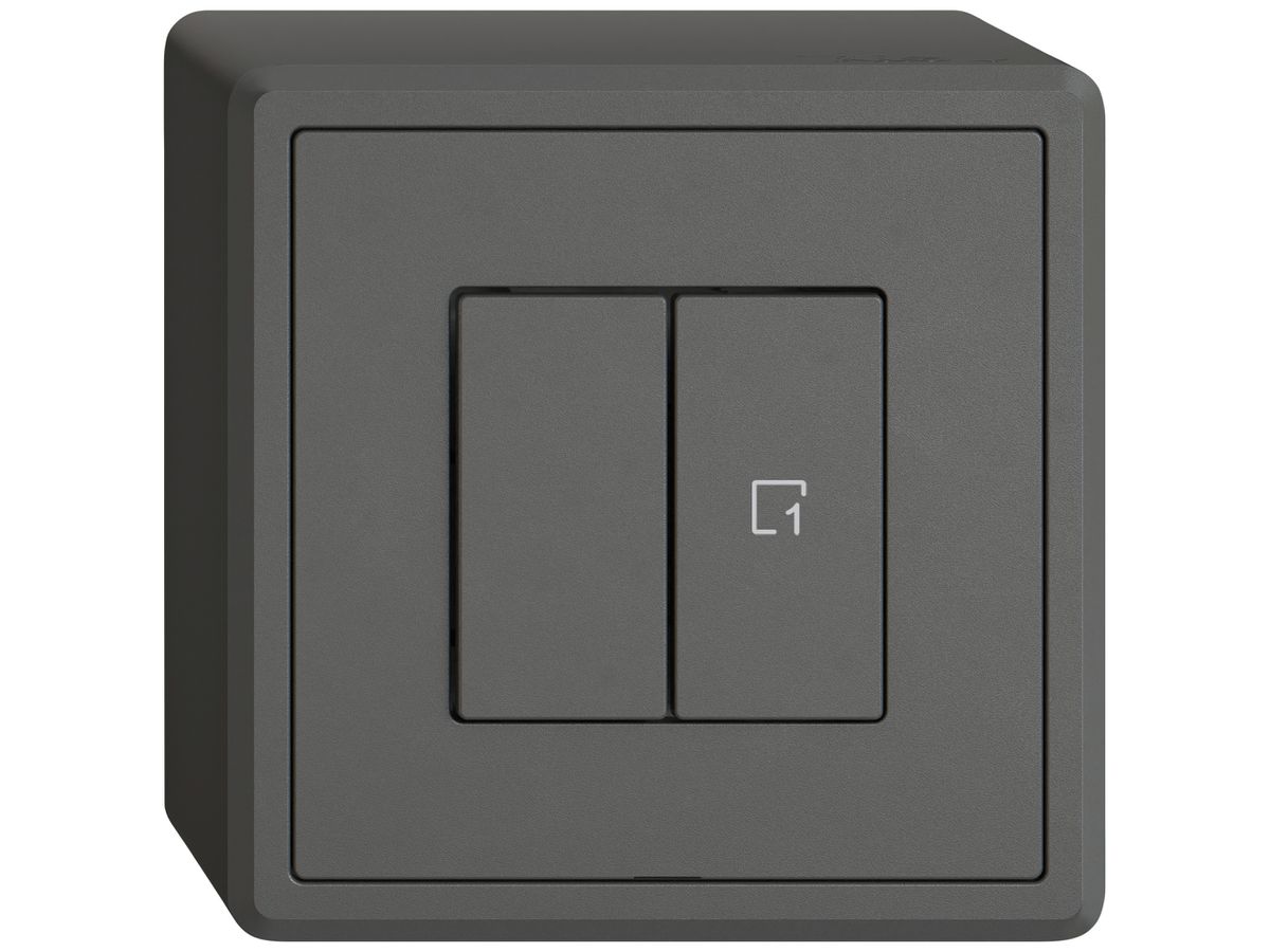 AP-Druckschalter EDIZIO.liv Wiser SNAPFIX® 1 Kanal 1 Szene 2 Tasten dgu
