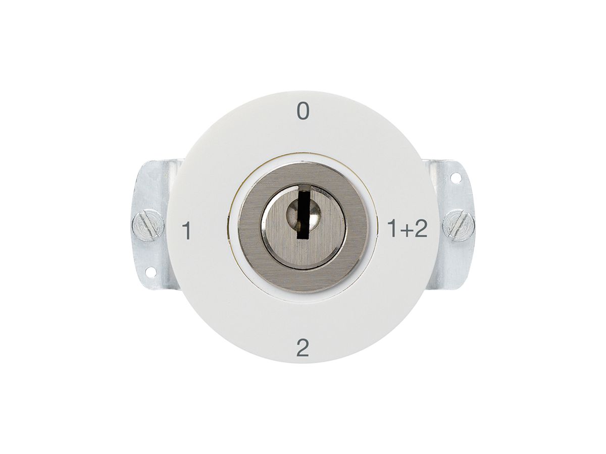 Schlüsselschalter 1/1L basico weiss