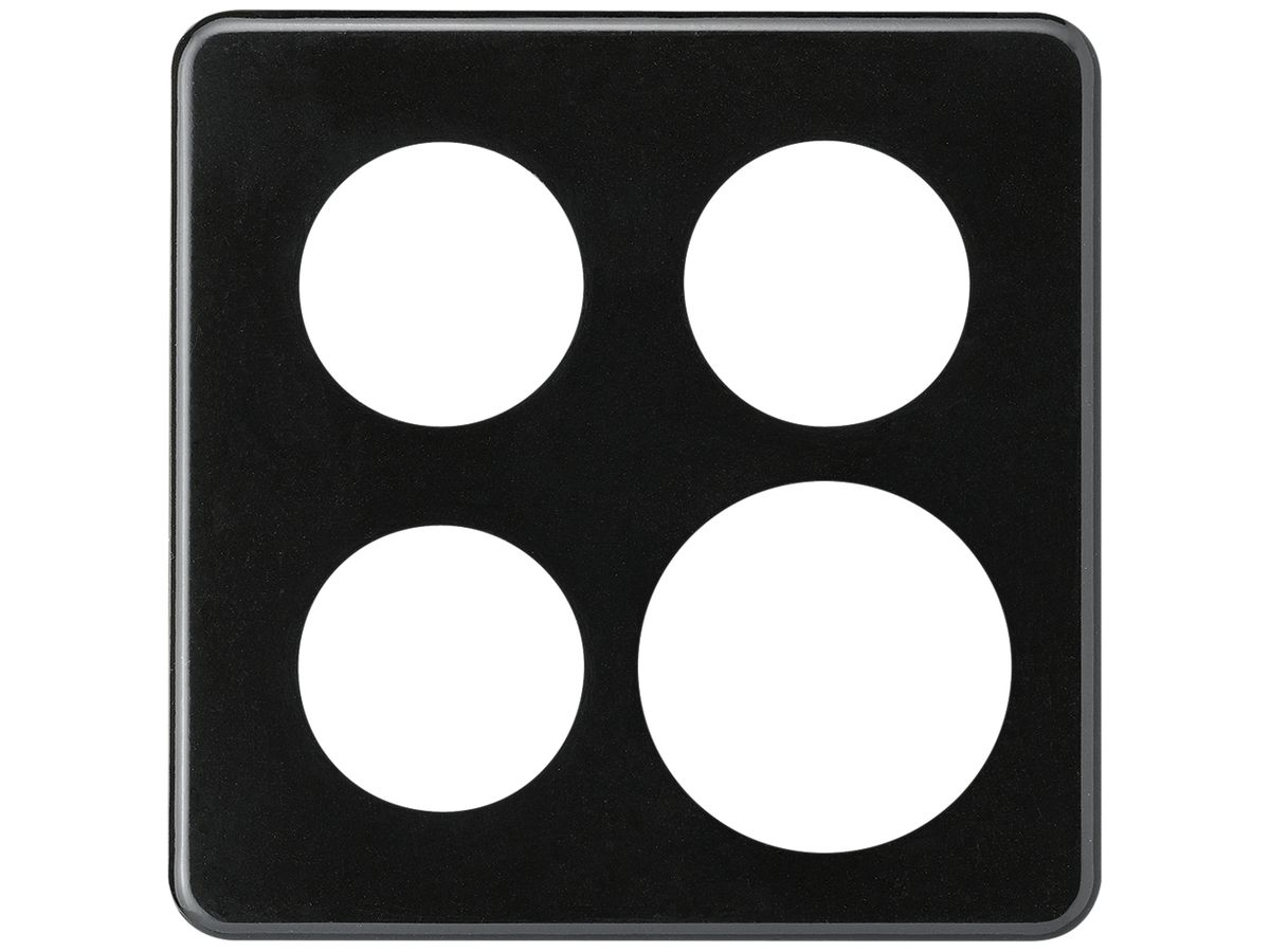 Abdeckplatte basico 2×2/3×43+1×58mm schwarz