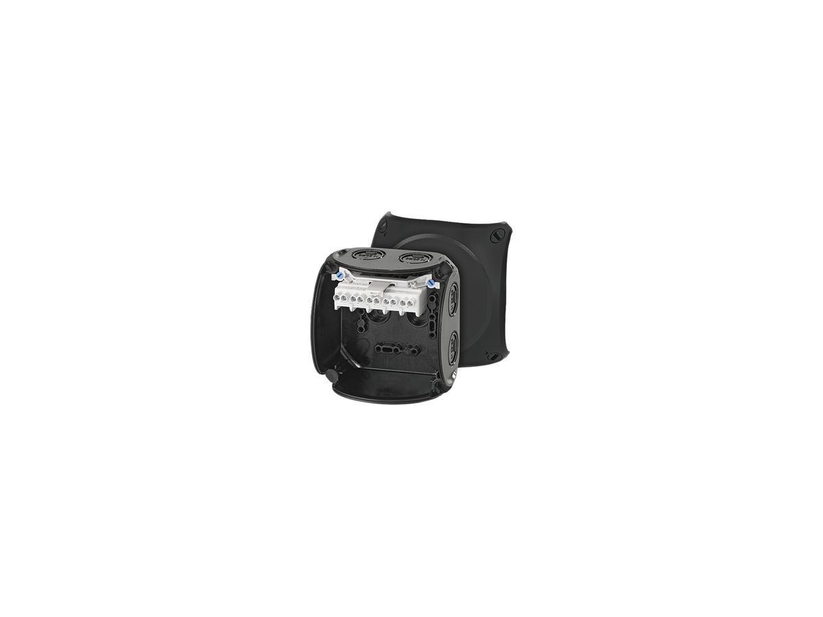 AP-Abzweigdose Hensel KF B mit Klemmen 5×4mm² schwarz