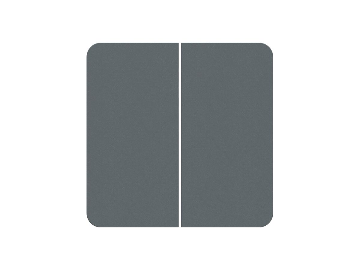 Frontplatte priamos 2×Schalter/Taster mit Frontlinse 60×60mm anthrazit