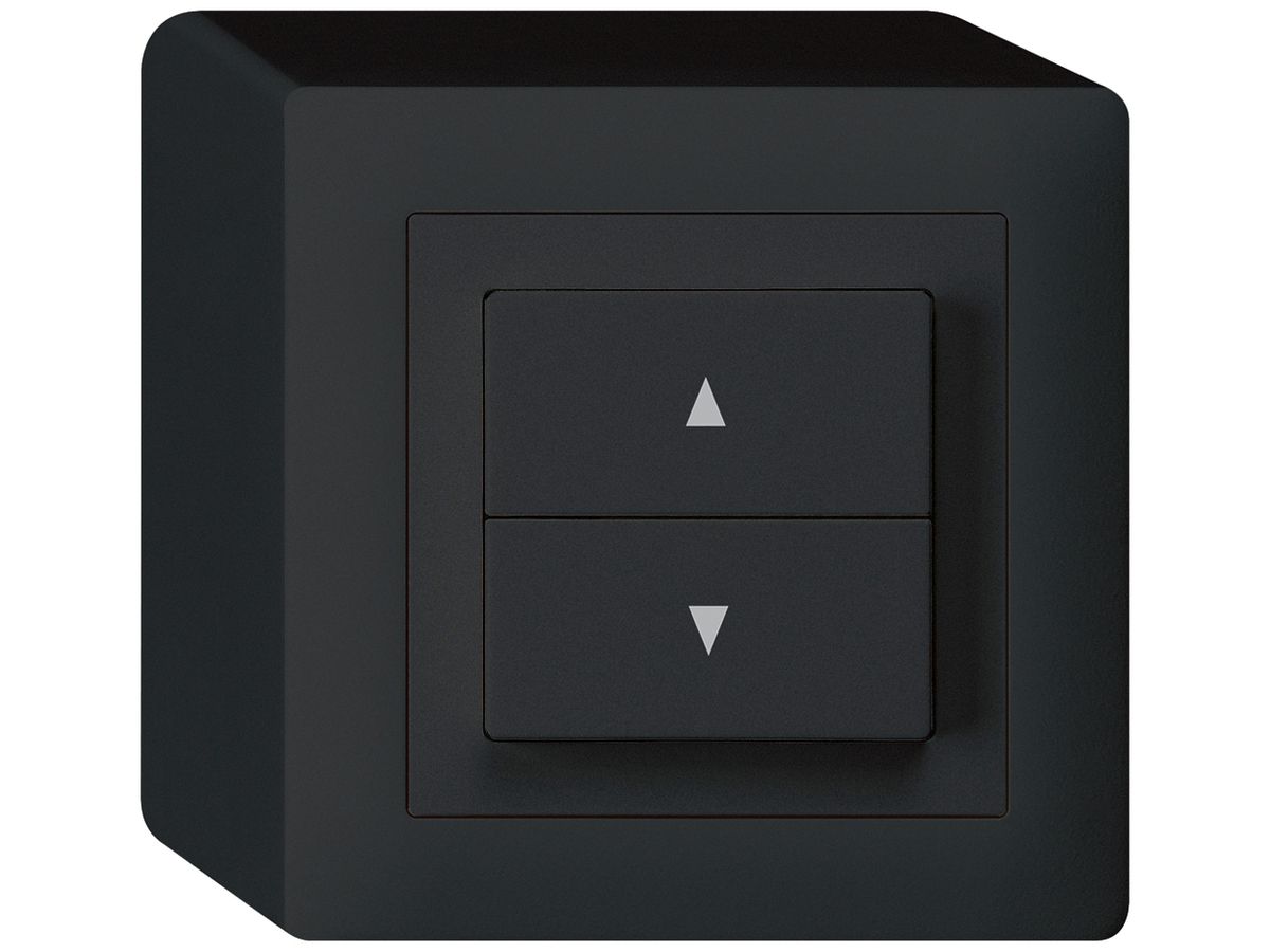 AP-Storenschalter kallysto schwarz mit 2 Funktionstasten Steckklemmen