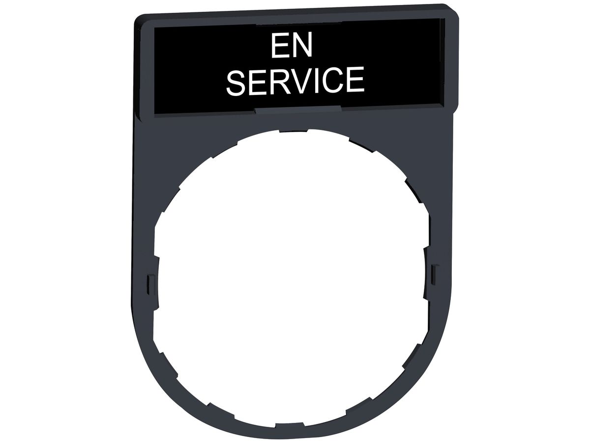 Einlegeschild Schneider Electric En Service