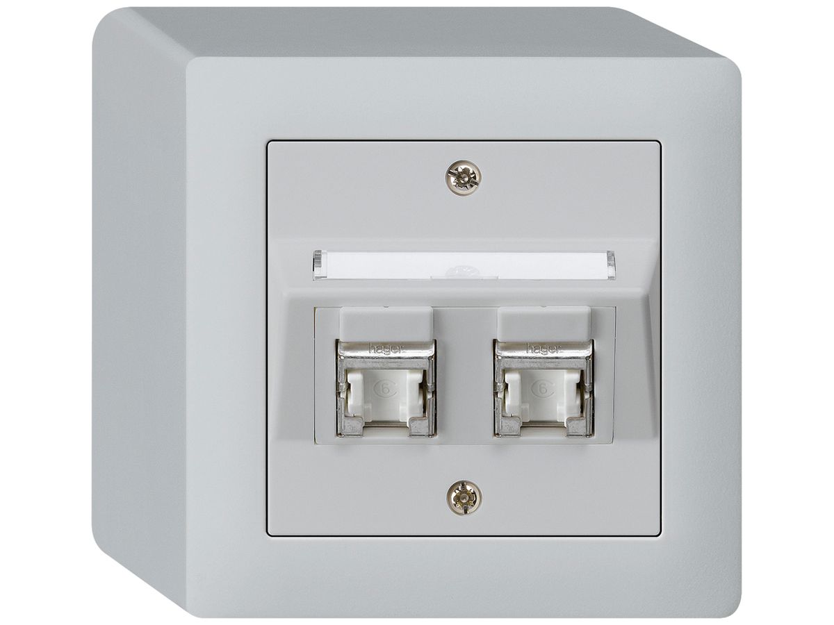 AP-Dose kallysto Kat.6 2RJ45/s hellgrau