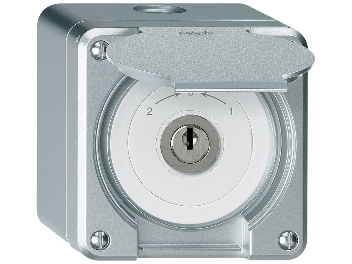AP-Schlüsselschwenktaster robusto IP55 aluminium mit Deckel Wechsler