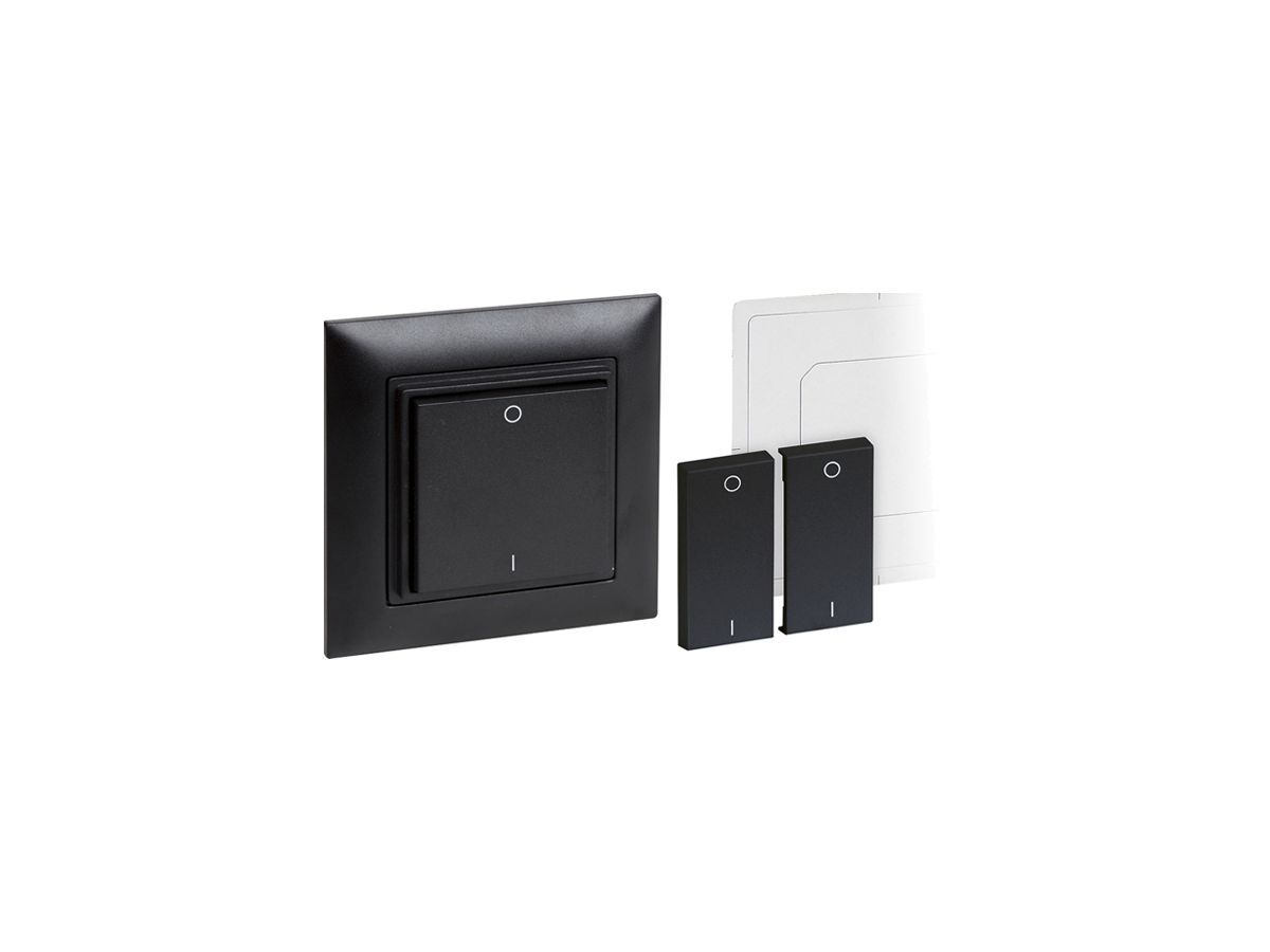 RF-Wandsender Omnio 4-Kanal schwarz mit Symbol I-O, ohne Batterie