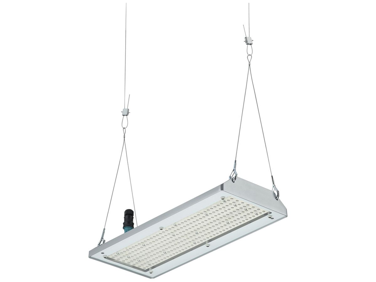LED-Hallenstrahler GentleSpace 98W 17000lm 840 IP65 VNB DALI 254×600