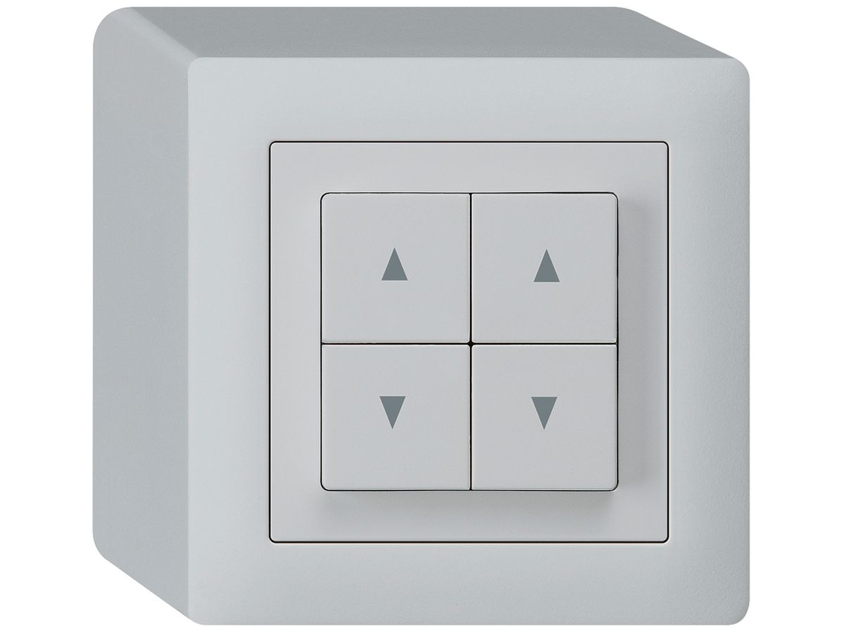 AP-Storentaster kallysto hellgrau mit 4 Funktionstasten