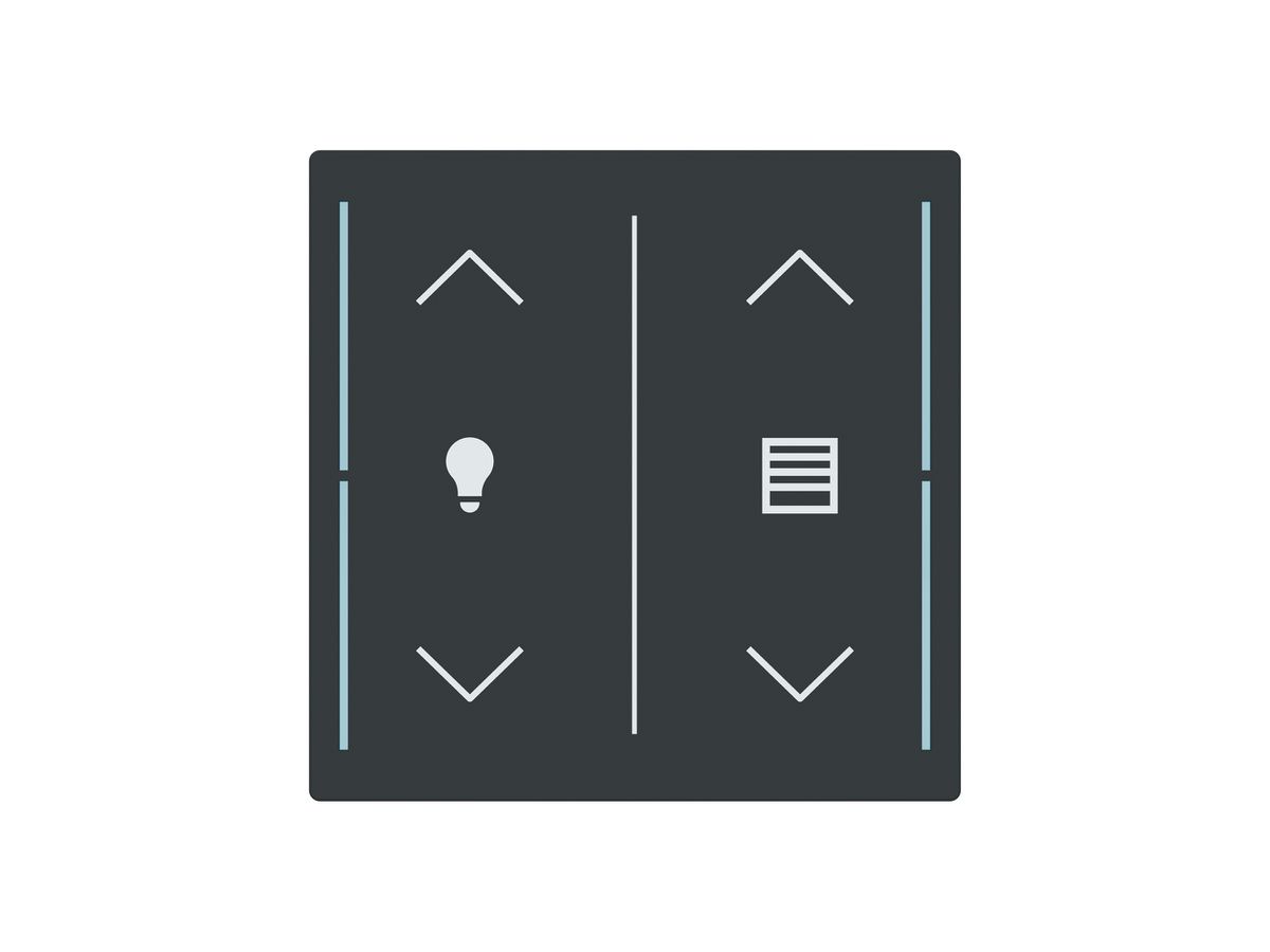 Tasterabdeckung ABB SIDUS touch 2-fach "Wippe-Dimmen/Jalousie" anthrazit