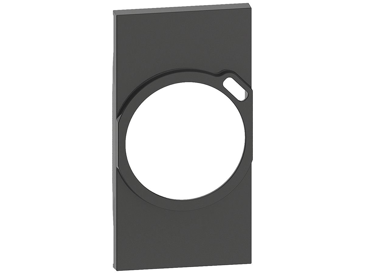 Abdeckung Living Now 2 Module für Steckdose Schuko mit USB schwarz