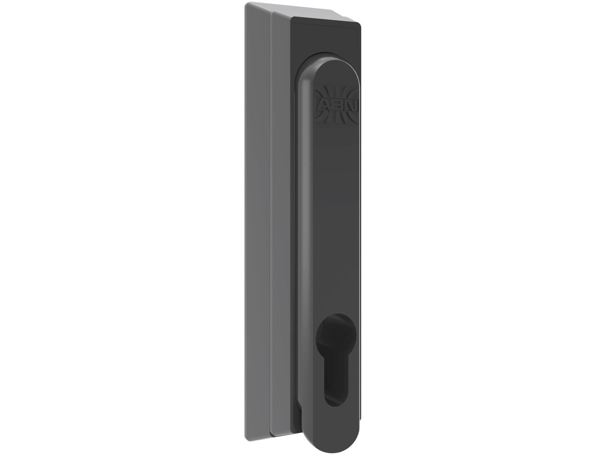 Schwenkhebel Schneider Electric Prisma XS plombierbar, für Tiefe 280mm