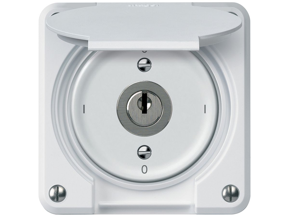 UP-Schlüsselschalter robusto Ausschalter 2×1-polig 16A 250V 86×86mm weiss