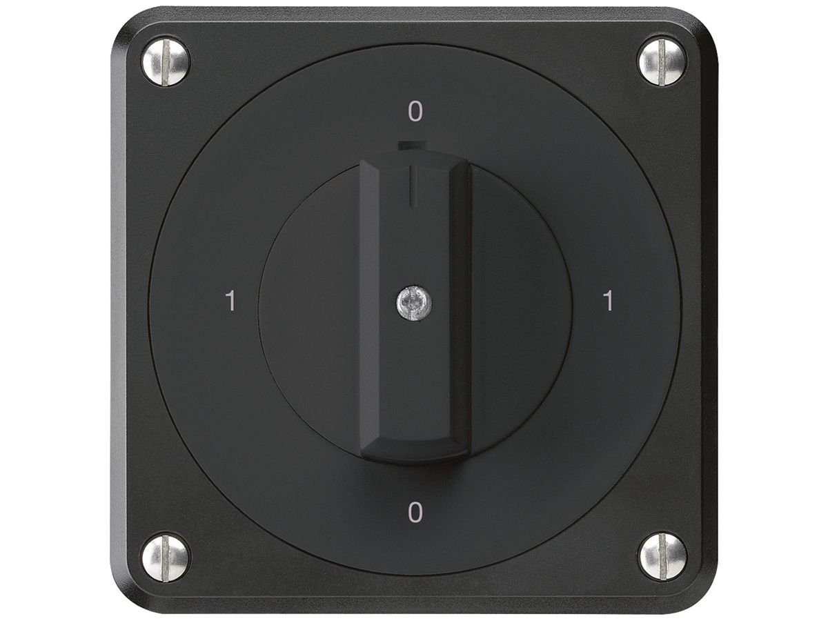 UP-Drehschalter robusto IP55 S0/2P schwarz für Kombination