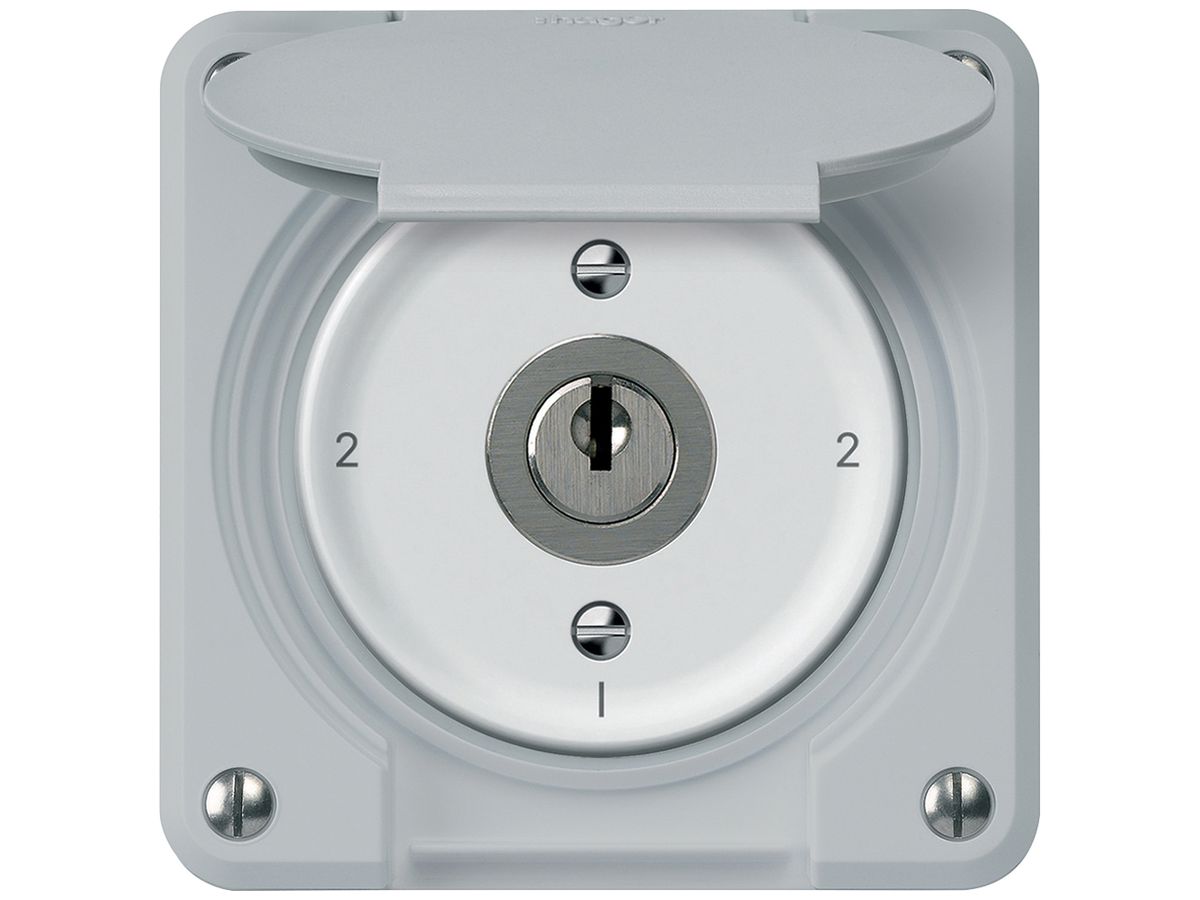 Schlüsselschalter robusto Wechselschalter 16A 250V 86×86mm grau