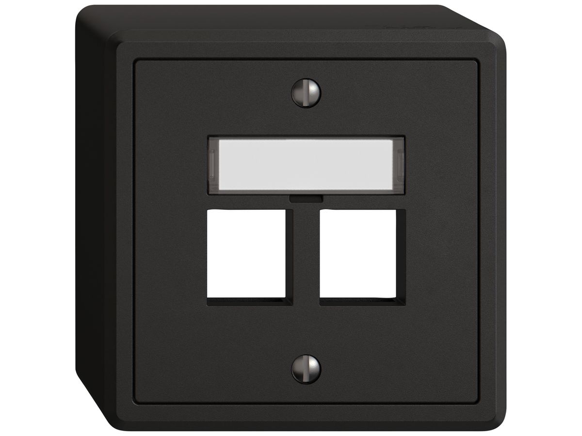 AP-Montageset EDIZIO.liv Keystone SNAPFIX® gerade 2× sz