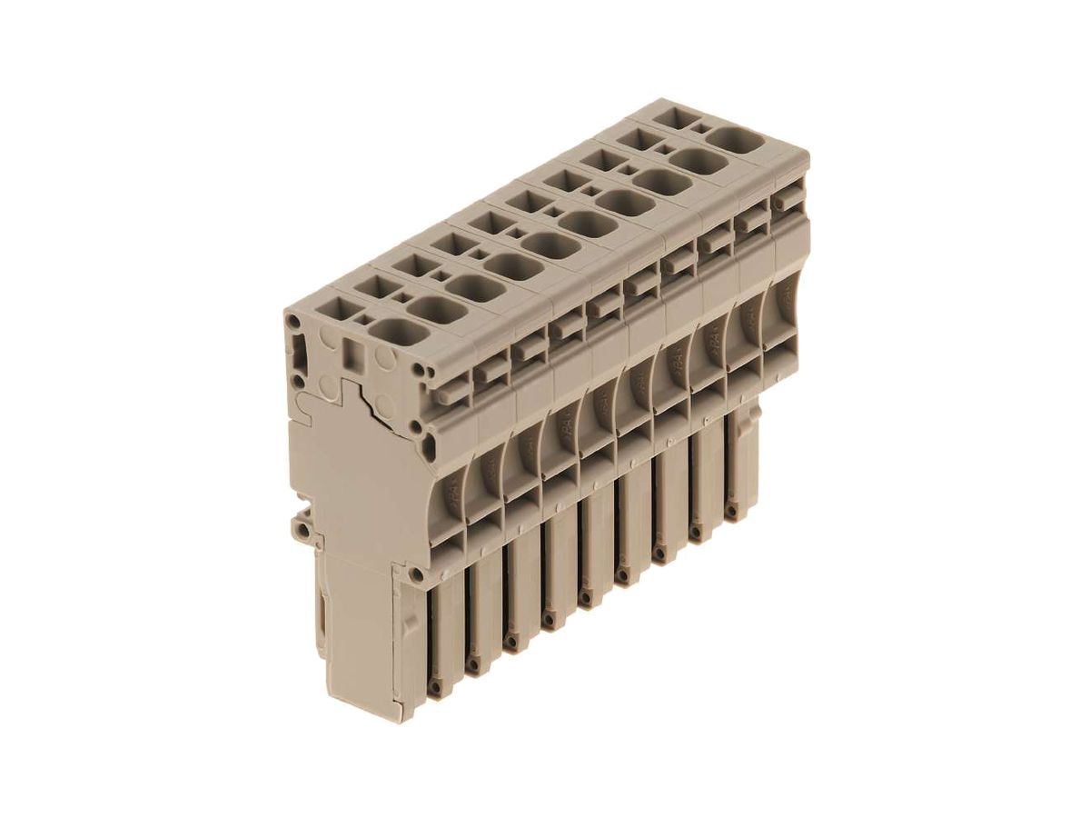 Stecker Weidmüller ZP 4/1AN/10 Zugfeder 4mm² 10L beige