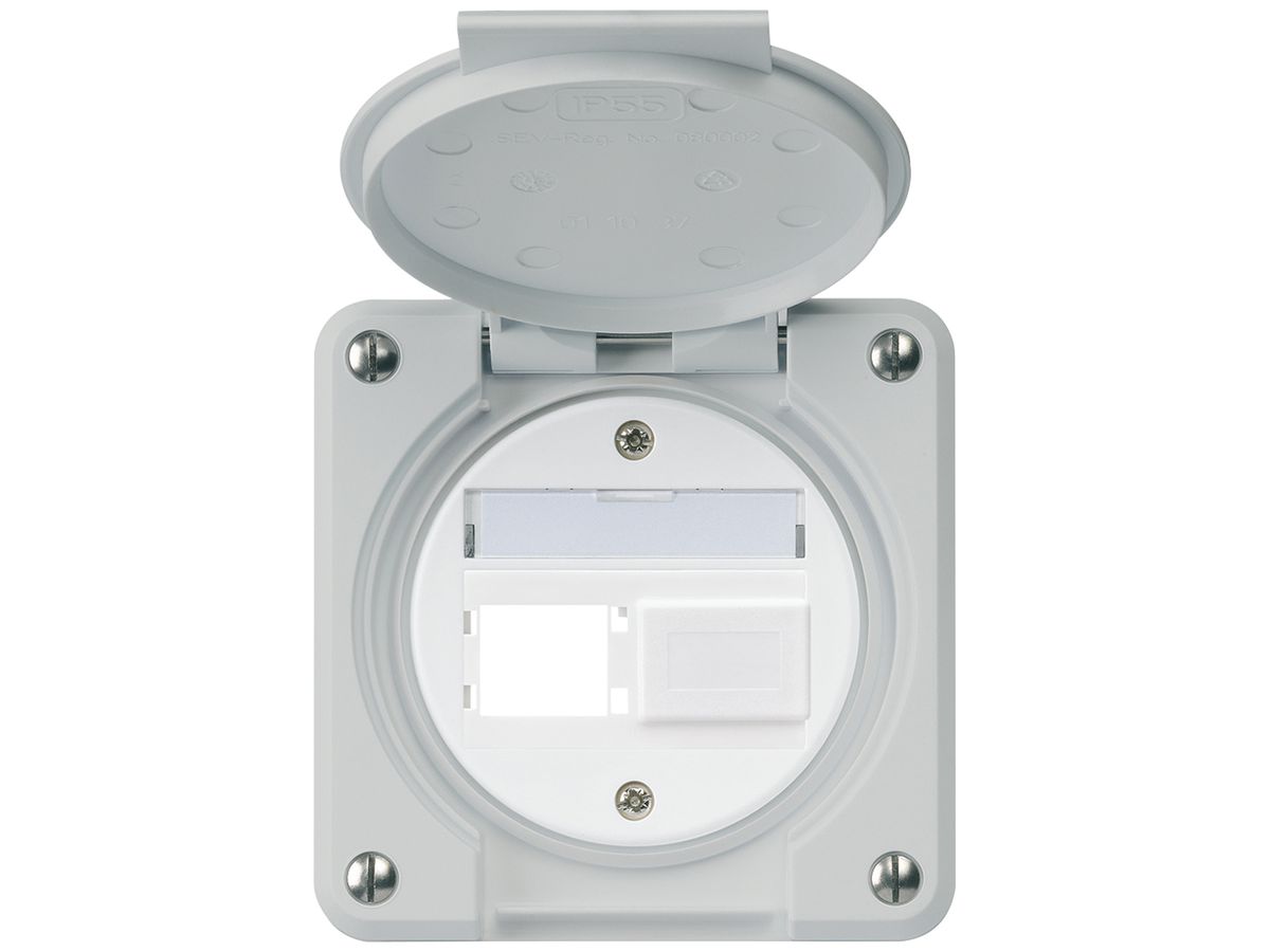 UP-Montageset robusto IP55 Frontauslass für 2×R&M grau
