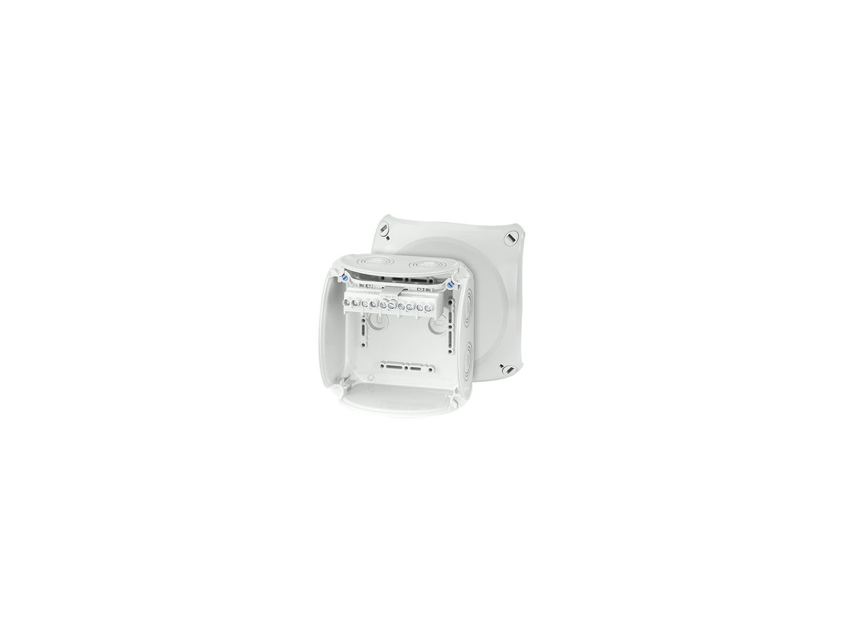 AP-Abzweigdose Hensel KF G mit Klemmen 5×6mm² grau