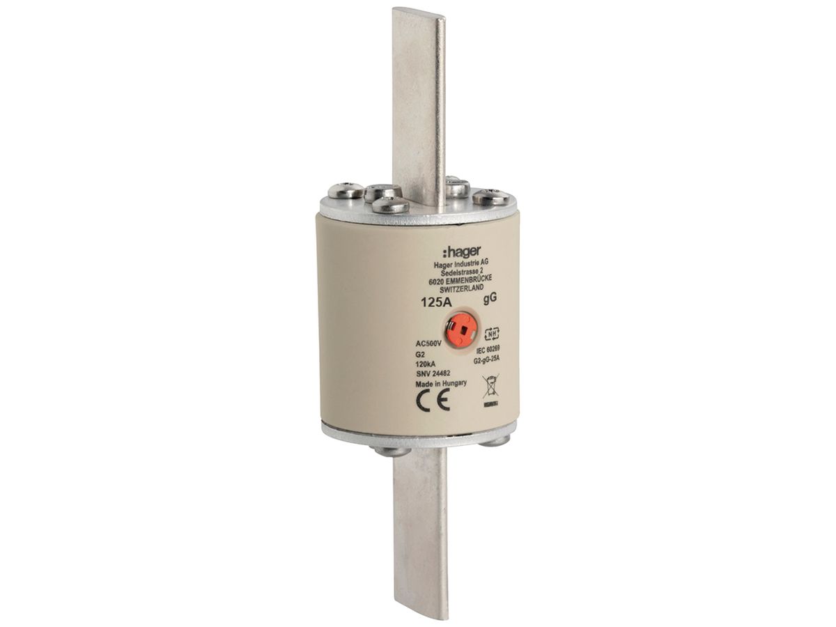NH-Sicherung Hager SEV G2 500V AC 125A gG Mittenkennmelder