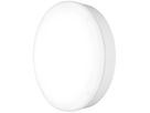LED-Notleuchte SURFACE BULKHEAD 300 EM 15W 1400lm 830 3h IP65 ws