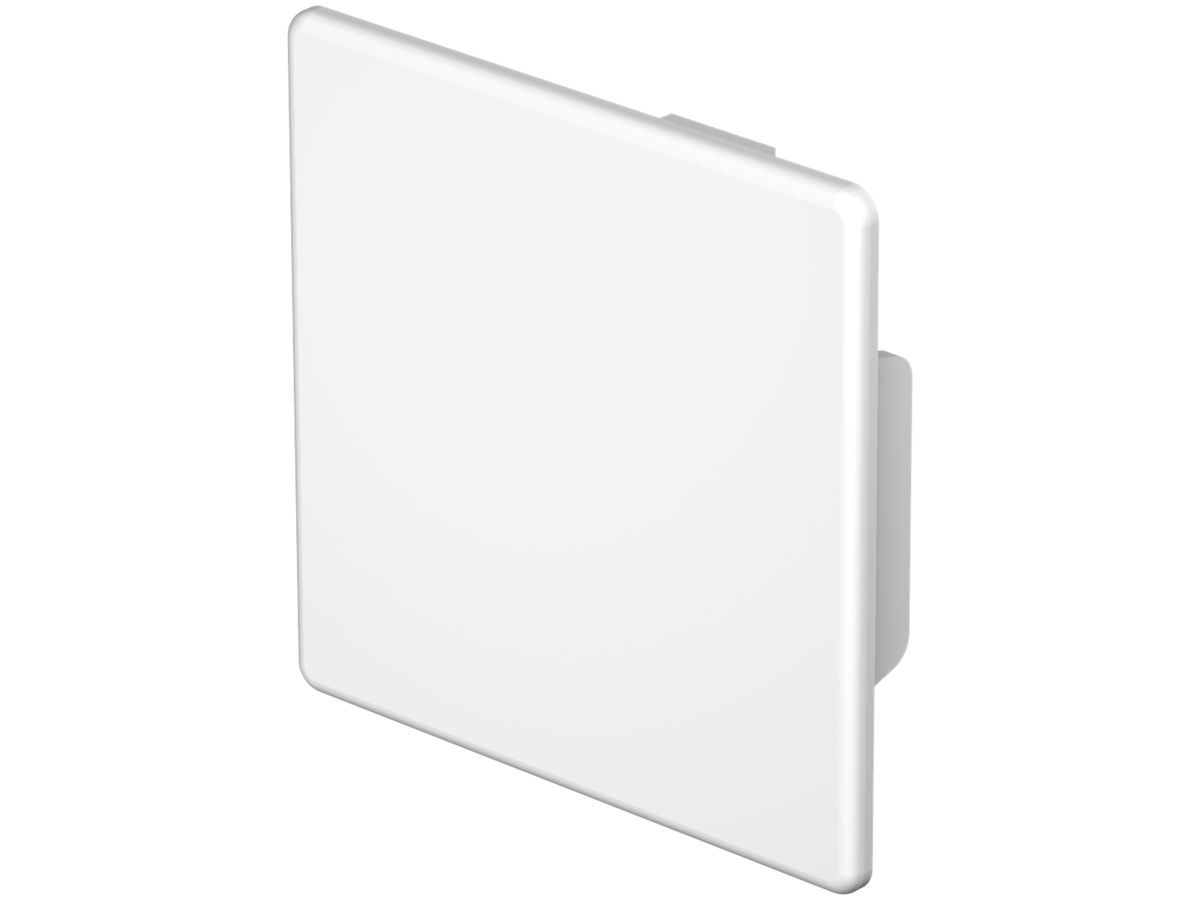 Abschlussplatte Bettermann zu Installationskanal WDK reinweiss 60×60mm