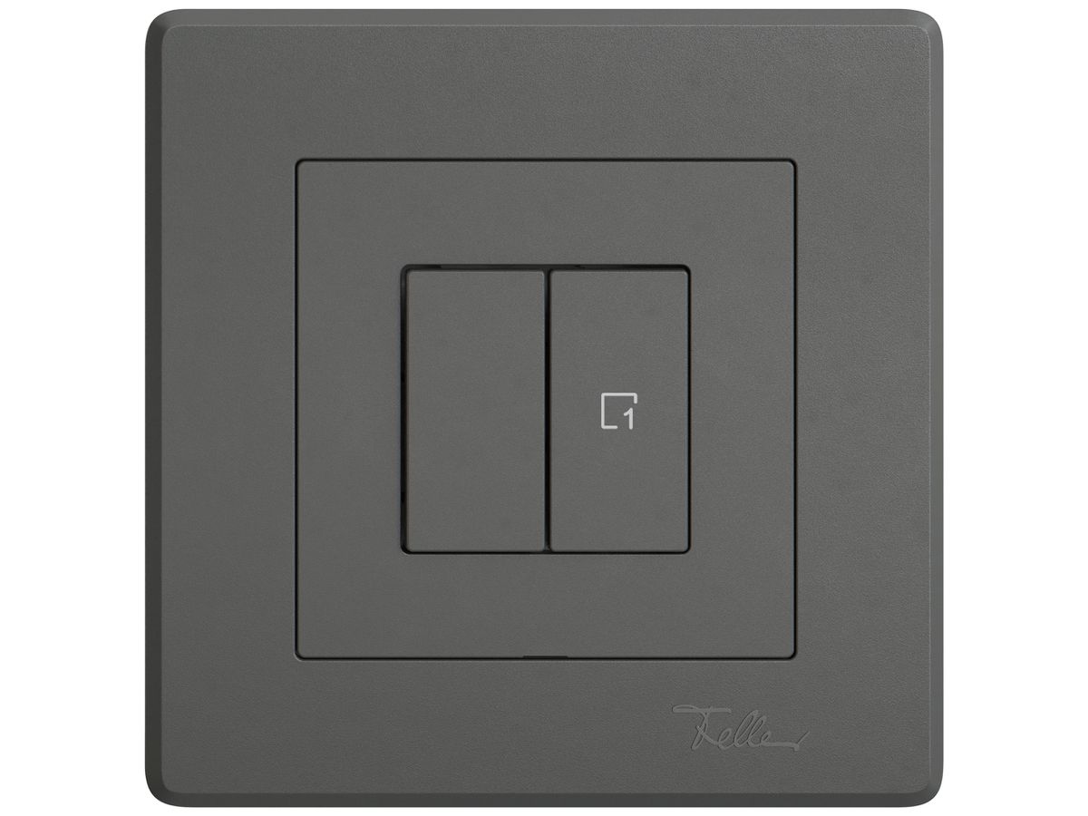 UP-Nebenstelle Schalter EDIZIO.liv Wiser SNAPFIX® 1 Szene 2 Tasten WLAN dgu