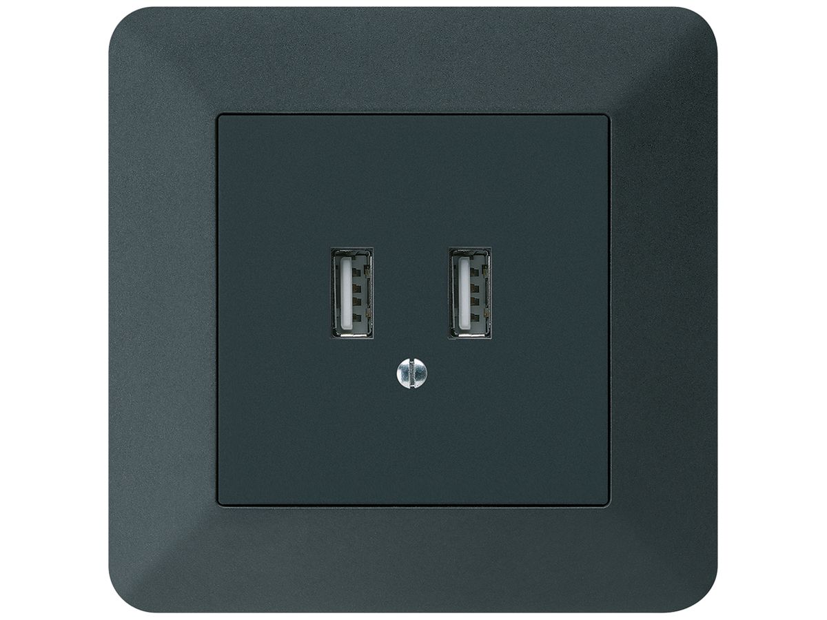 UP-USB-Ladesteckdose Hager kallysto.trend 240V 2400mA schwarz
