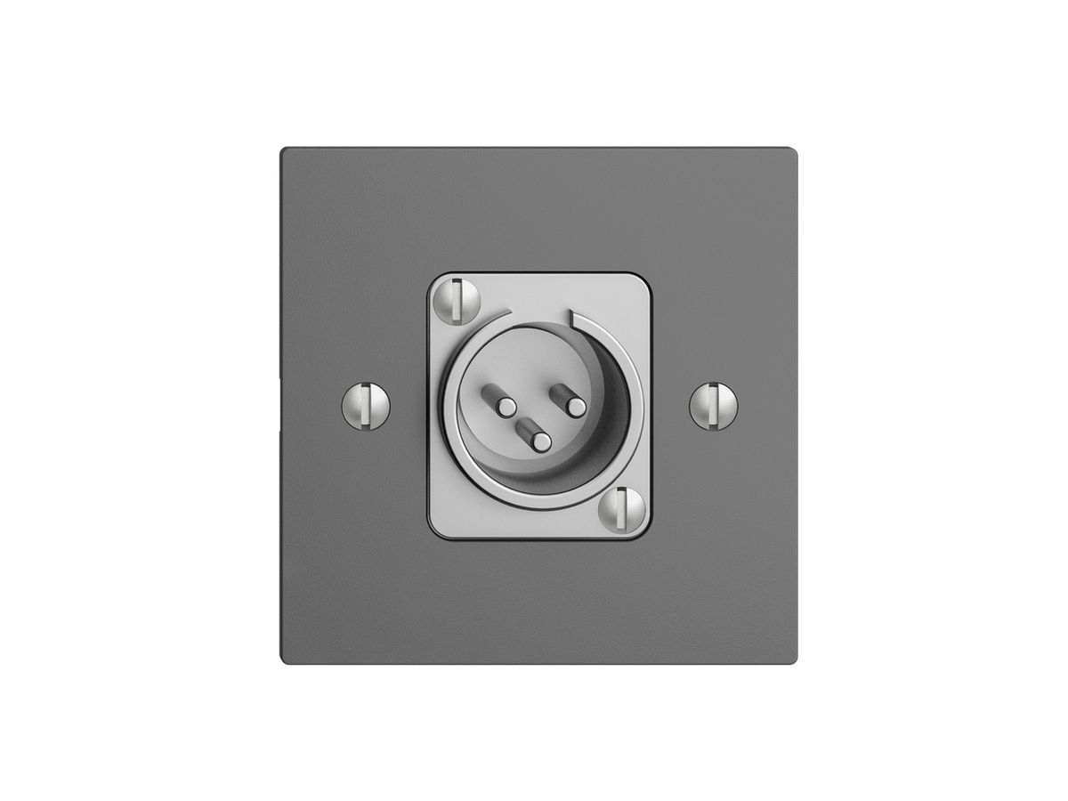 UP-Dose mit XLR-Stecker EDIZIOdue dunkelgrau