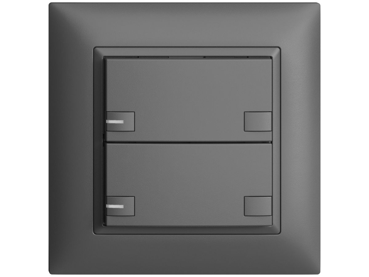 UP-Taster KNX 2-fach EDIZIOdue colore dunkelgrau RGB mit LED