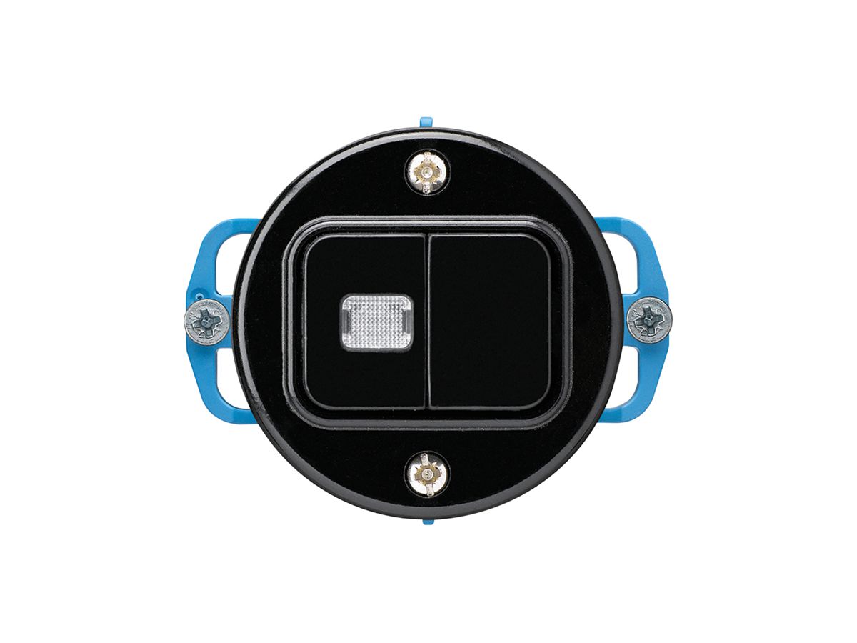 Einsatz zu UP-Leuchtdruckschalter basico 1/3+3/1L schwarz 1 Linse