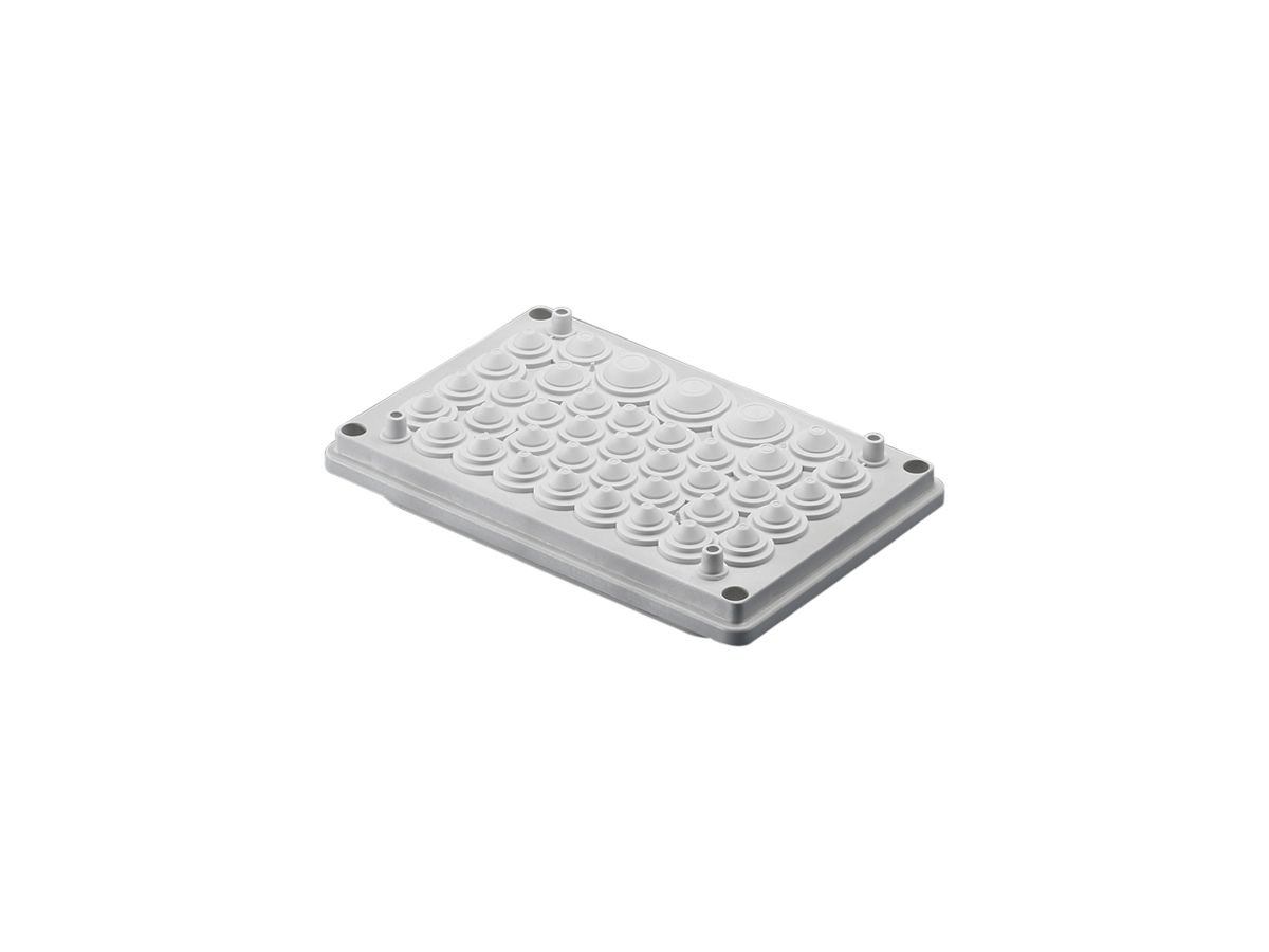 Kabeleinführung Rittal SV 9665.770 250×160mm Kunststoff Membran