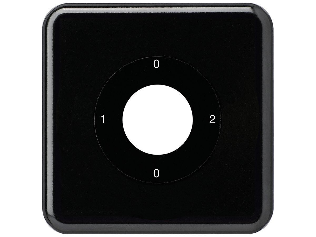 UP-Frontset für Schlüsselschalter basico S2 schwarz 86×86mm